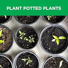 Plant Potted Plants, Bulbs &amp; Vegetables