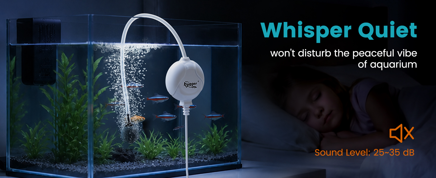 quiet air pump
