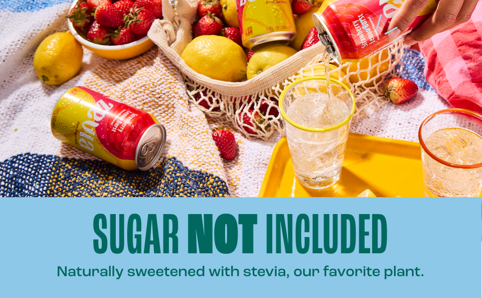 Strawberry Lemon Burst Zevia Zero Sugar Soda - Sugar Not Included