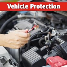 best Squirrel repellent strongest chipmunk ground squirrels natural safe tomato vehicle car wire