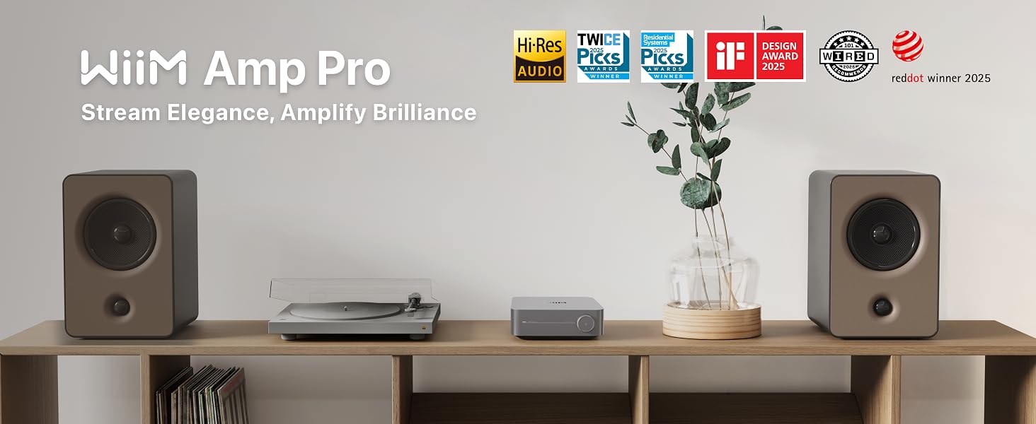 wiim amp pro