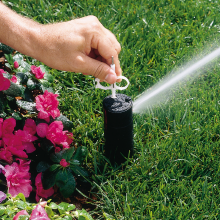 rotor, sprinkler, arc, radius, adjustment, rotor cap, wrench, tool, grass, turf