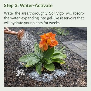 Step 3: A watering can waters a flower, activating Soil Vigor for hydration.