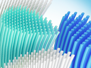 Replacement Toothbrush Heads