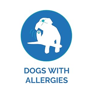 DOGS WITH ALLERGIES