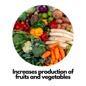 If you are ready to see an increase in your vegetable and fruit production, look no further.