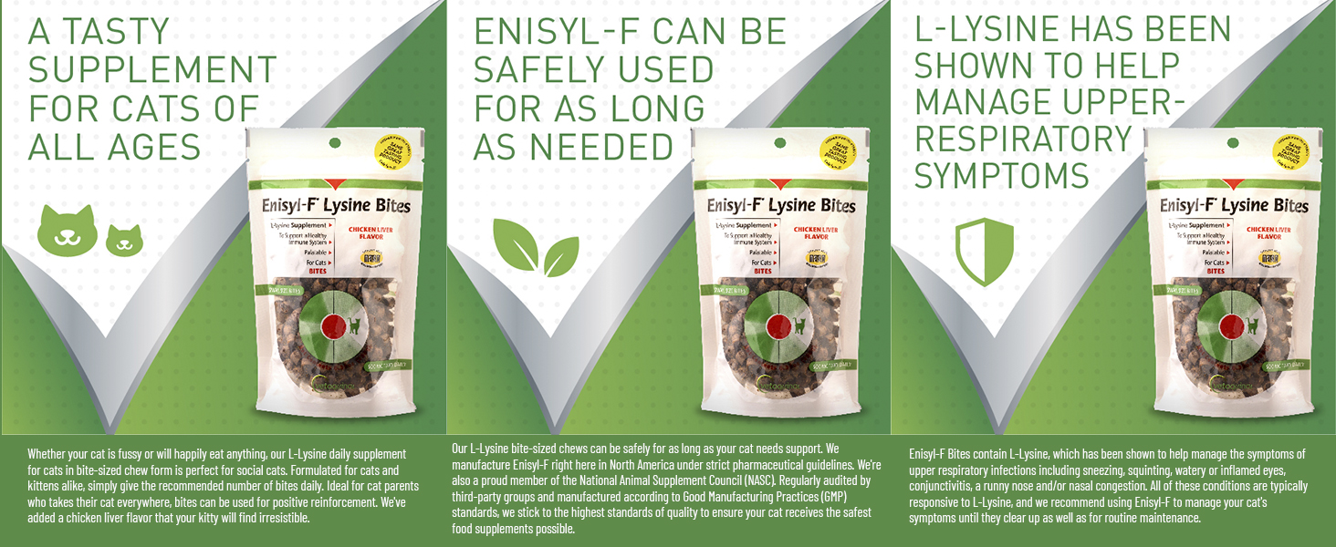 lysine powder