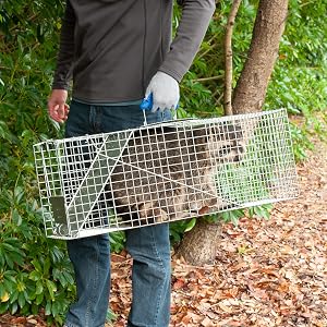 Step 3: Check the Trap Regularly
