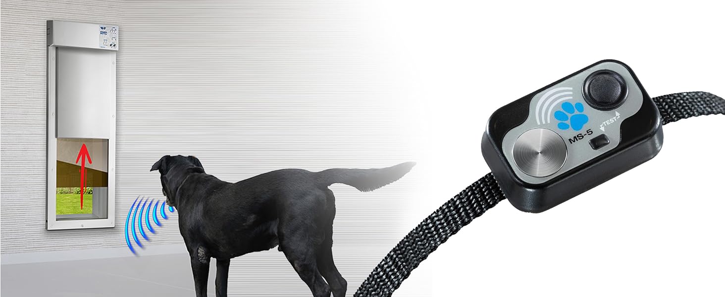 MS-5 Ultrasonic Collar