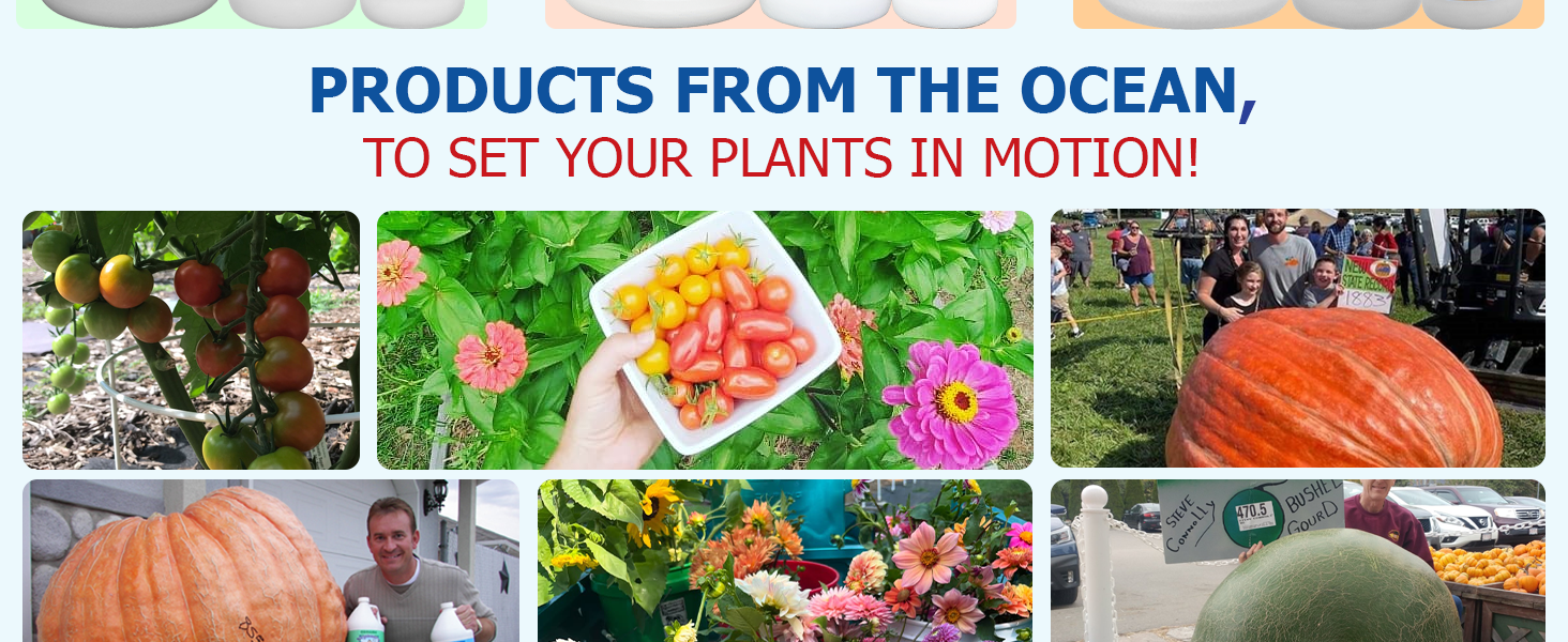 fertilizer organic fertilizer liquid fertilizer lawn fertilizer fish fertilizer grass fertilizer