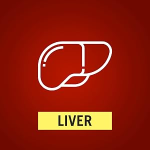 Liver