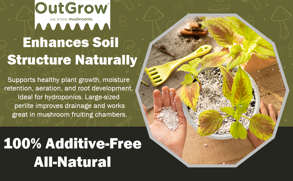 perlite in a potted plant