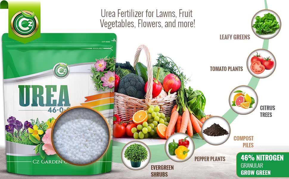 Urea Uses