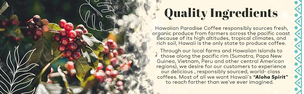 Coffee plant with Quality ingredients description