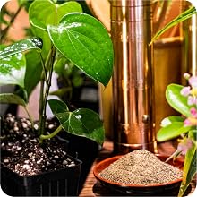 potting mix gardening watering planting builder calcium carbonate release pellets care fertilizante