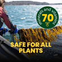 Granular Plus Myco, All-In-One Fertilizer, Organic Root Stimulator Plant Food with Mycorrhizae