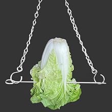 Hang the vegetable for chickens