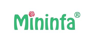 Mininfa