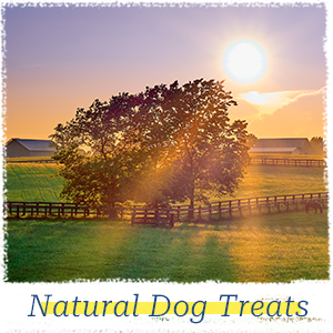 natural treats