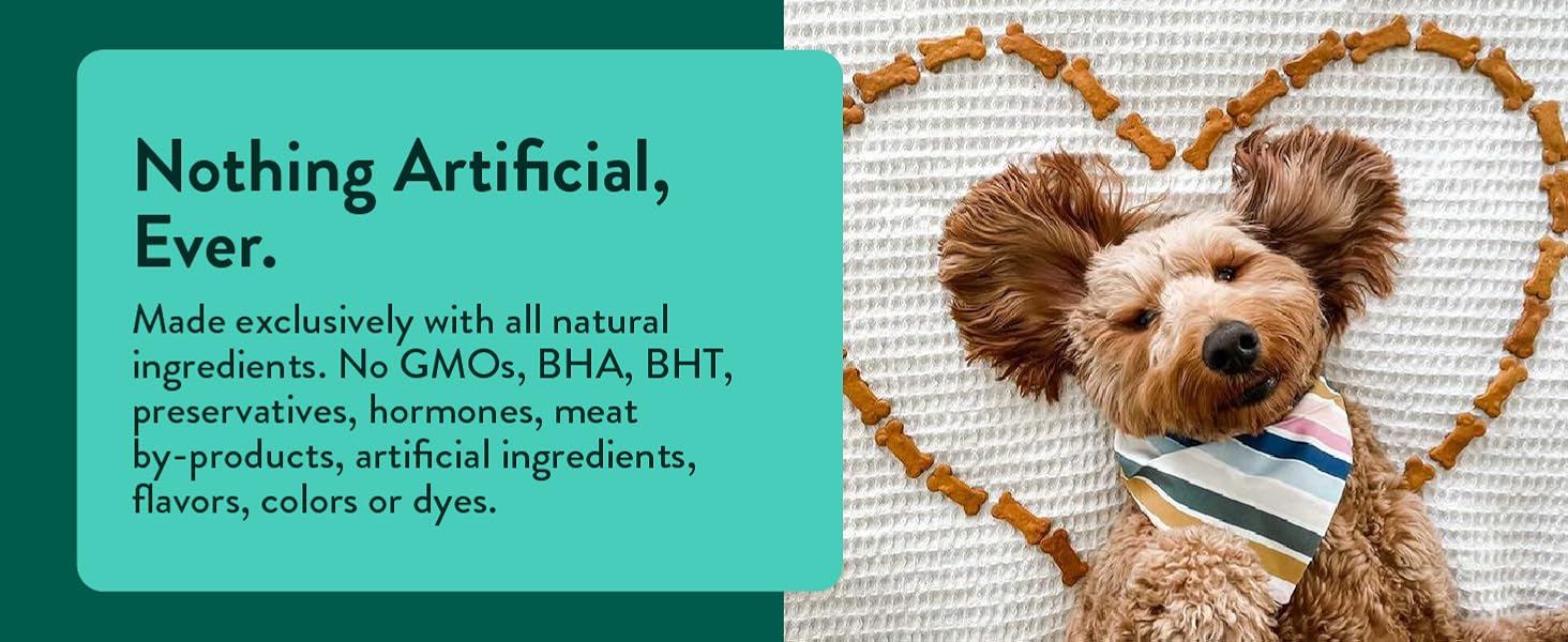 treats for dogs with sensitive stomach no chicken dog treats