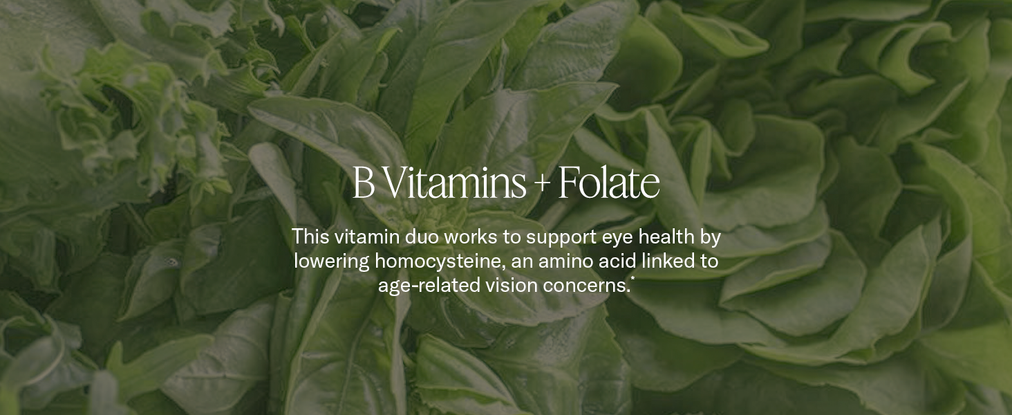 B Vitamins + Folate: supports eye health linked to age-related vision concerns.