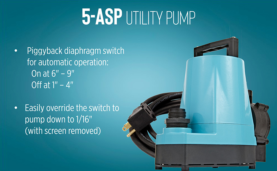 5-ASP A+ Content Switch 970x600
