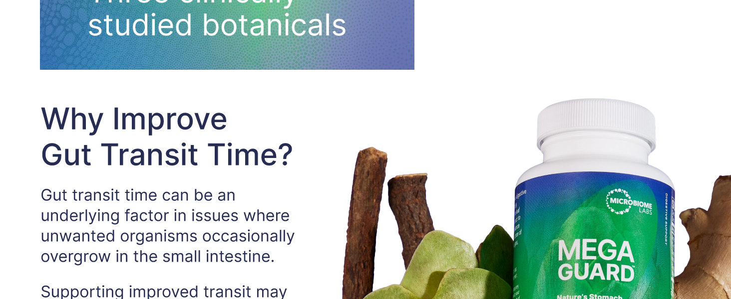 anti bloating for women artichoke extract digestive nutritional supplements gut health supplements