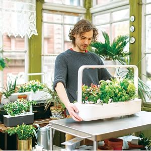 A Click and Grow hydroponic garden on a countertop.