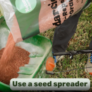 cedar granules use a seed spreader