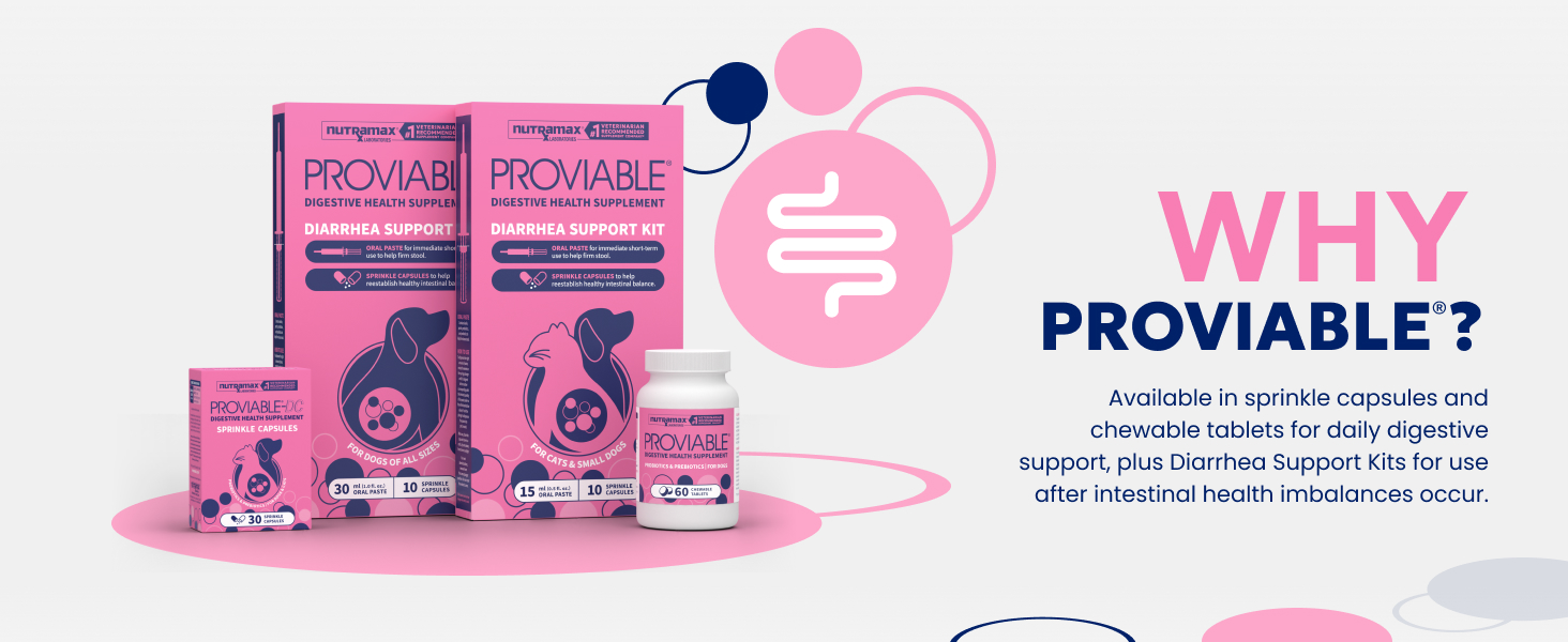 Proviable Probiotics