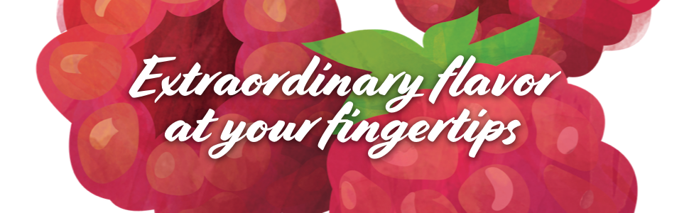torani syrups extraordinary flavor at your fingertips in white font on red raspberry drawing