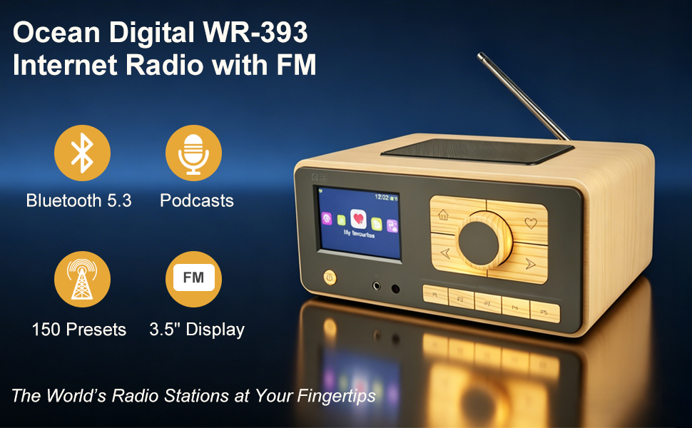 WR393 internet radio with FM