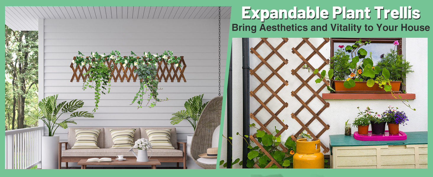 Wooden Lattice Wall Planter