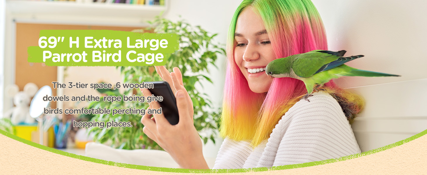 bird cage