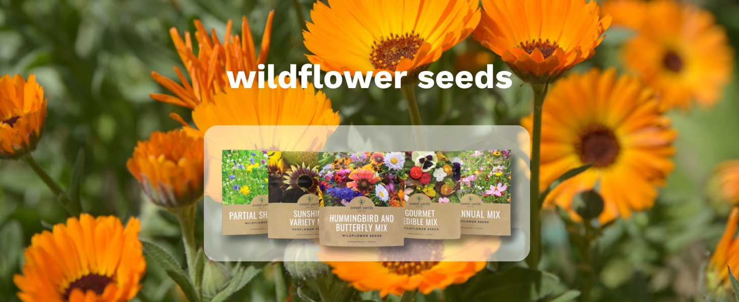 wildflower seeds