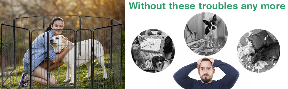Dog Pen