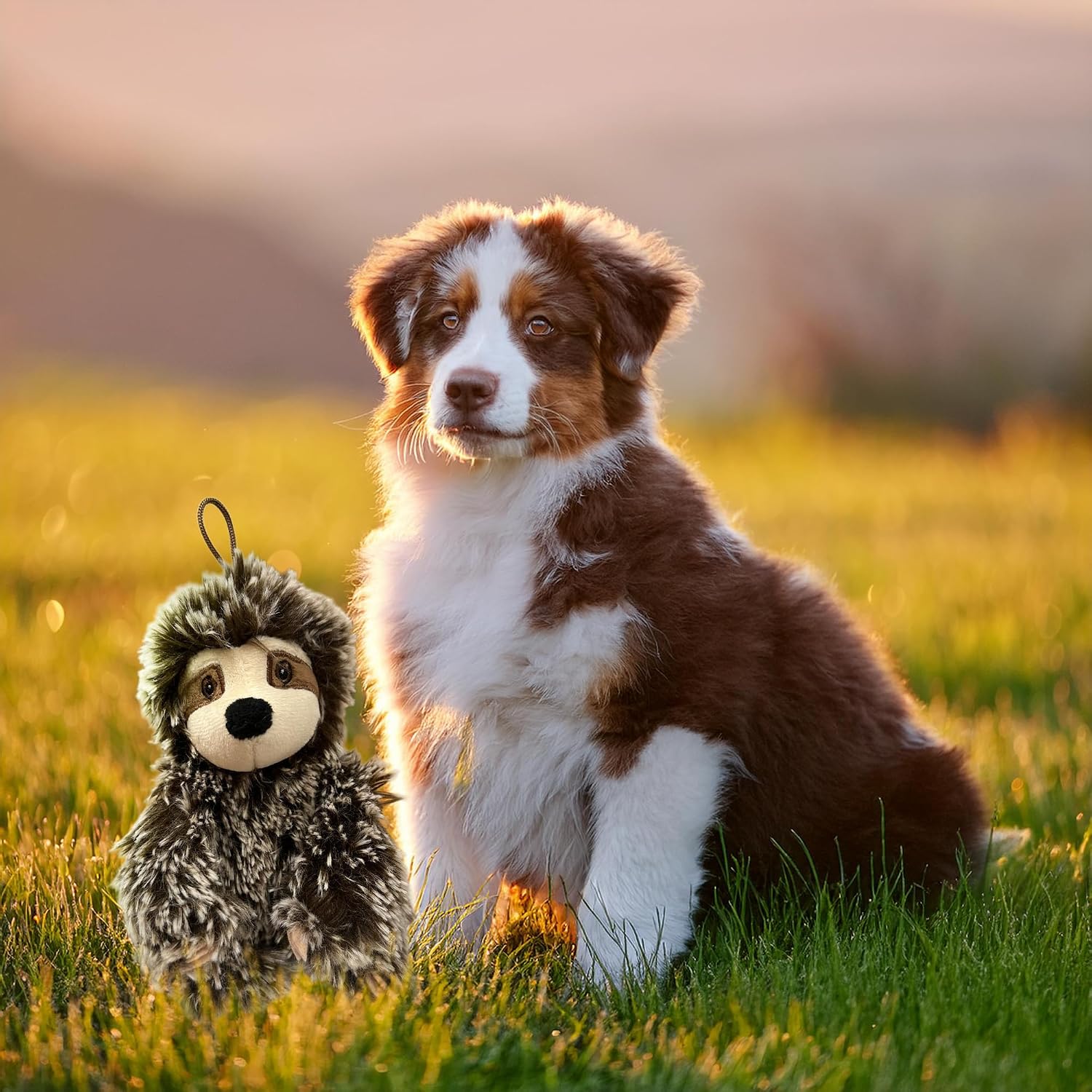 Multipet Sitting Sloth Dog Plush Toy - Squeaky Toy for All Dogs - Extra Soft Plush - Stuffed Animal for Cuddling & Playing - Cute Jumbo Pet Toy (14")