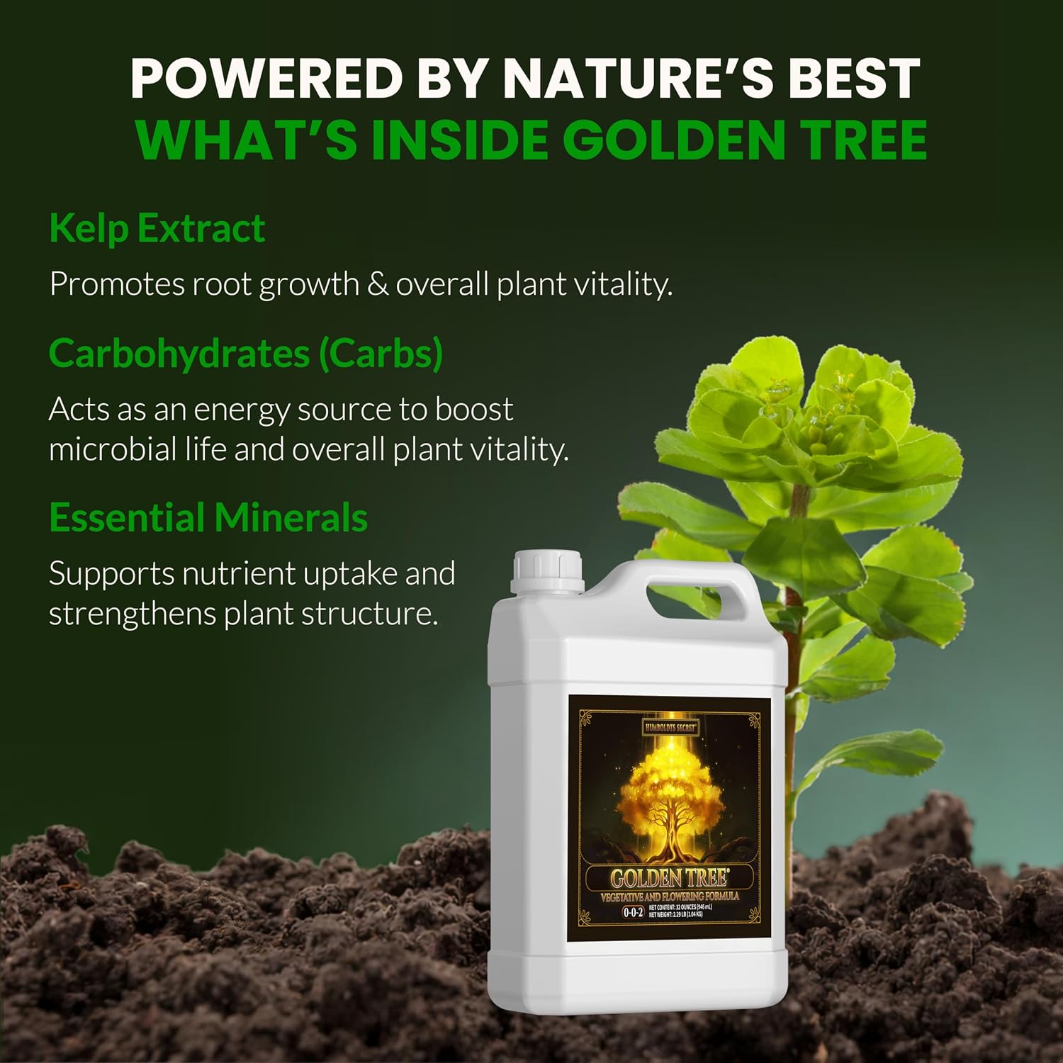 Humboldts Secret Golden Tree Liquid Plant Food | Enhances Growth Indoors or Outdoors | All-in-One Plant Nutrients for Vegetables, Trees, Flowers, Fruits, Roses, Lawns, Tomatoes | 16 Ounce