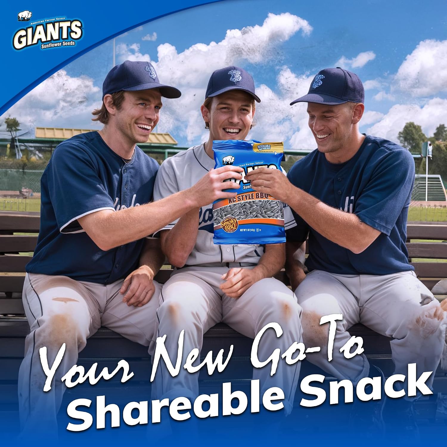 GIANTS Original Sunflower Seeds - Sunflower Seeds to Eat, Sunflower Seeds Bulk, Lightly Salted Sunflower Seeds for Eating, High Protein Snack - 5.75 oz Resealable Bags (Case of 12)