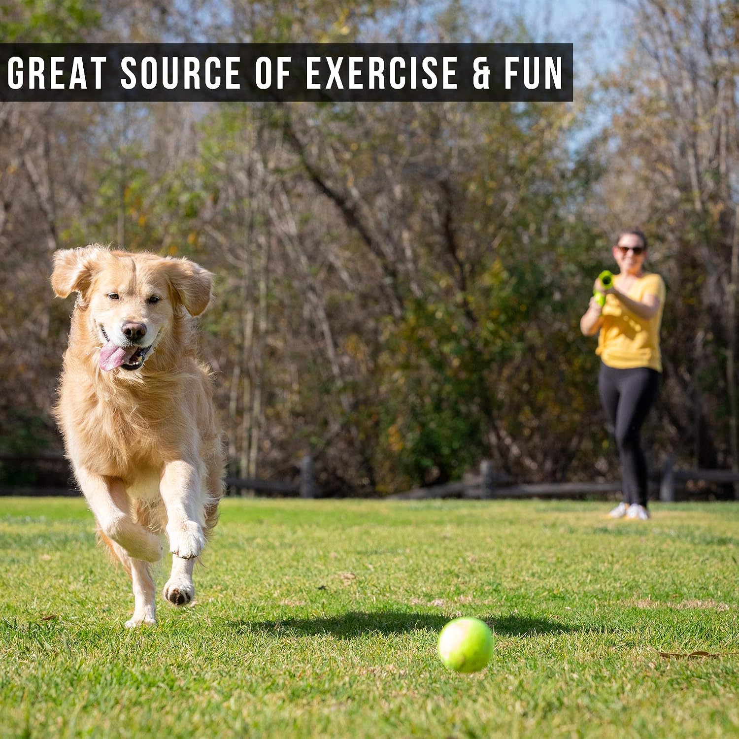 Hyper Pet GoDogGo Fetch Machine Dog Ball Launcher & Automatic Ball Launcher for Dogs With Five 2.5" Balls for Dogs 20-60 Pounds