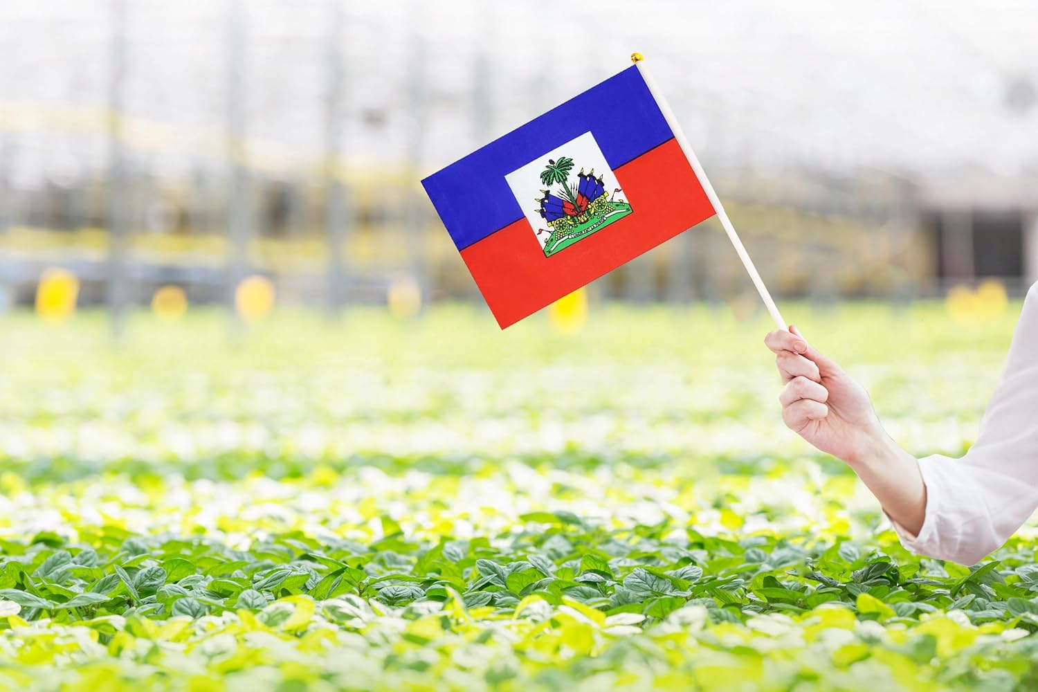 50 Pack Nicaragua Nicaraguan on Stick Flags,Small Mini Hand Held Nicaragua Nicaraguan Flags 5.5x8.3 Inch, Grand Opening, Carnival,Party Events Celebration
