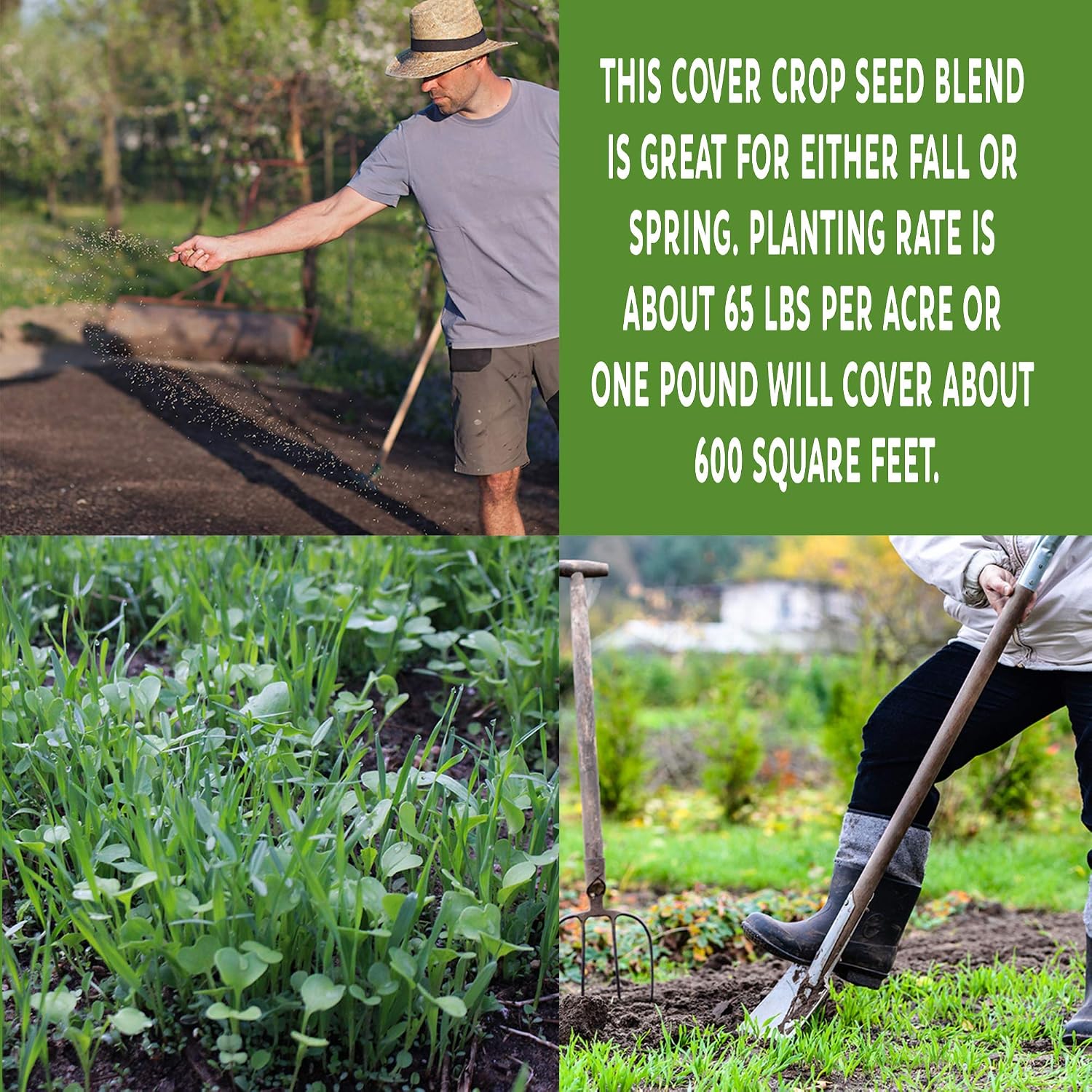 Mountain Valley Seed Co No-Till Garden Farm and Garden Cover Crop Mix Seeds | 5 Lbs - Blend of Gardening Cover Crop Seeds: Hairy Vetch, Daikon Radish, Forage Collards, Triticale, More
