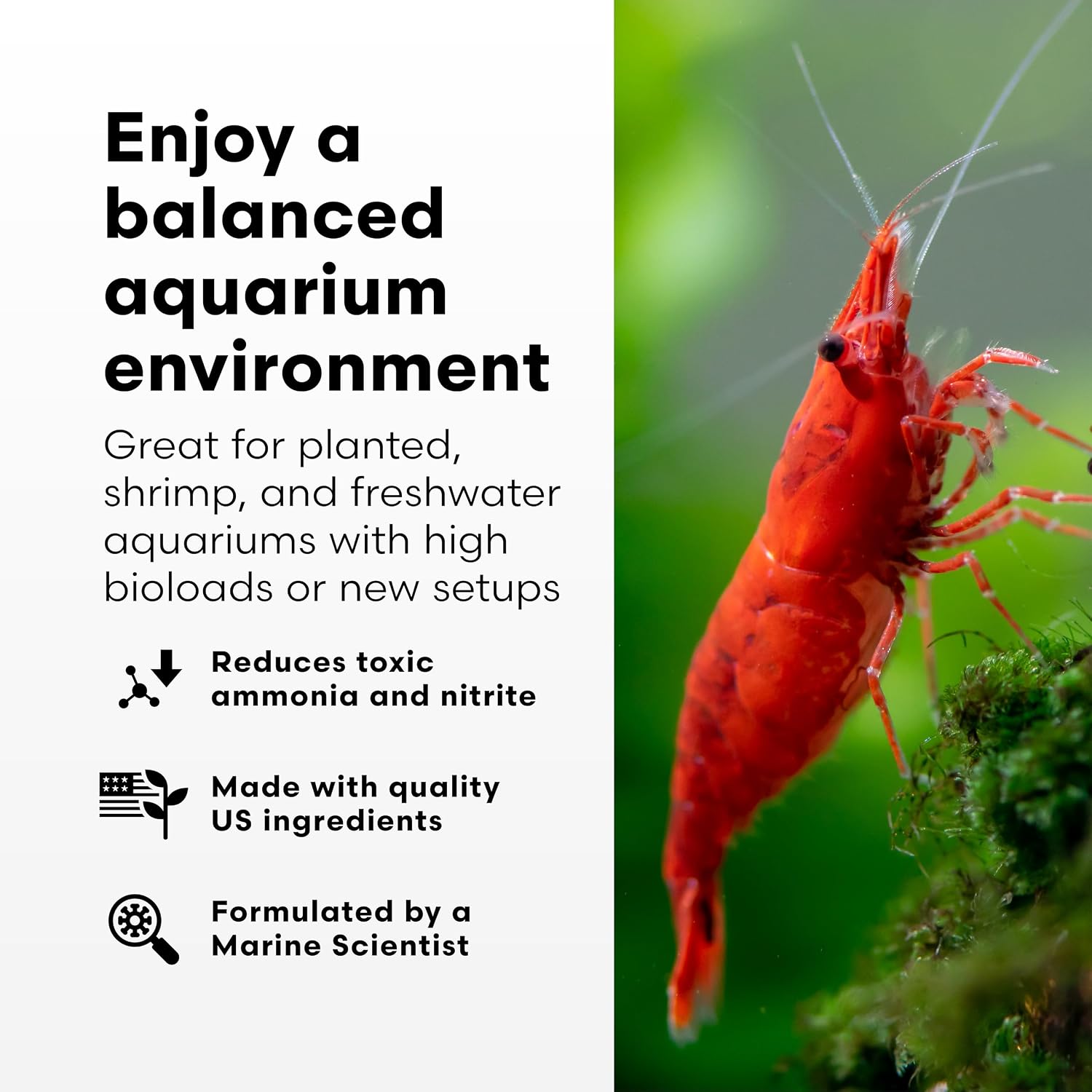 Brightwell Aquatics Shrimp FlorinBacter One Shrimp Tank Starter 500ml