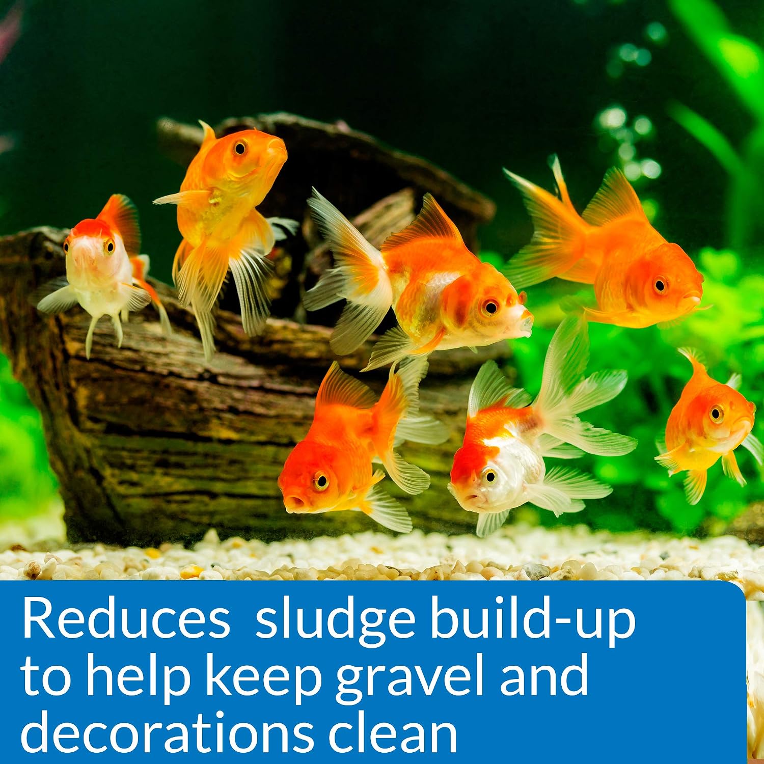 API GOLDFISH PROTECT Aquarium Water Conditioner 4-Ounce Bottle