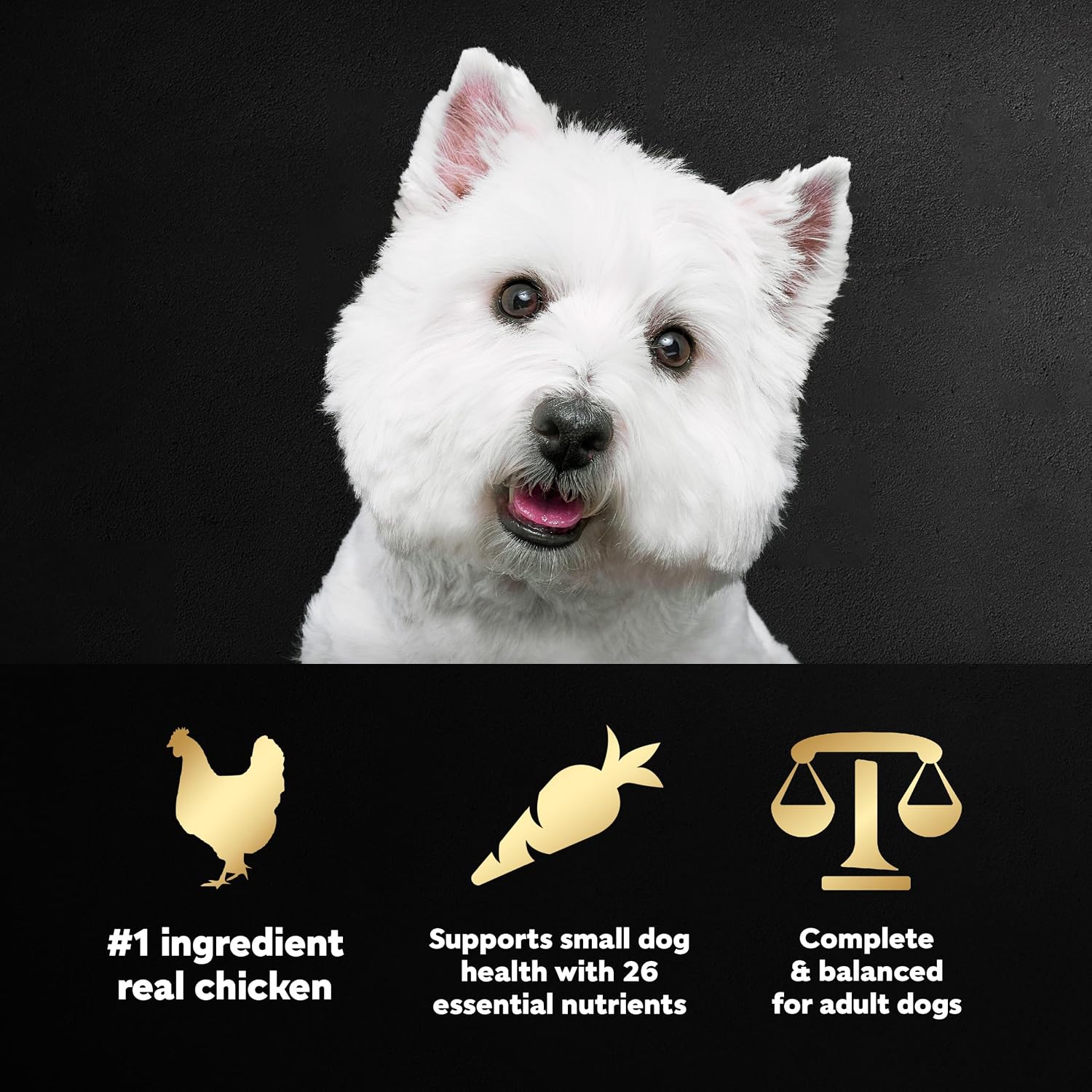 Cesar Small Breed Dry Dog Food, Chicken & Spring Vegetables Flavor, 5 lb | Made in USA, Real chicken #1 ingredient, 26 essential nutrients, supports small breed health, no artificial flavors
