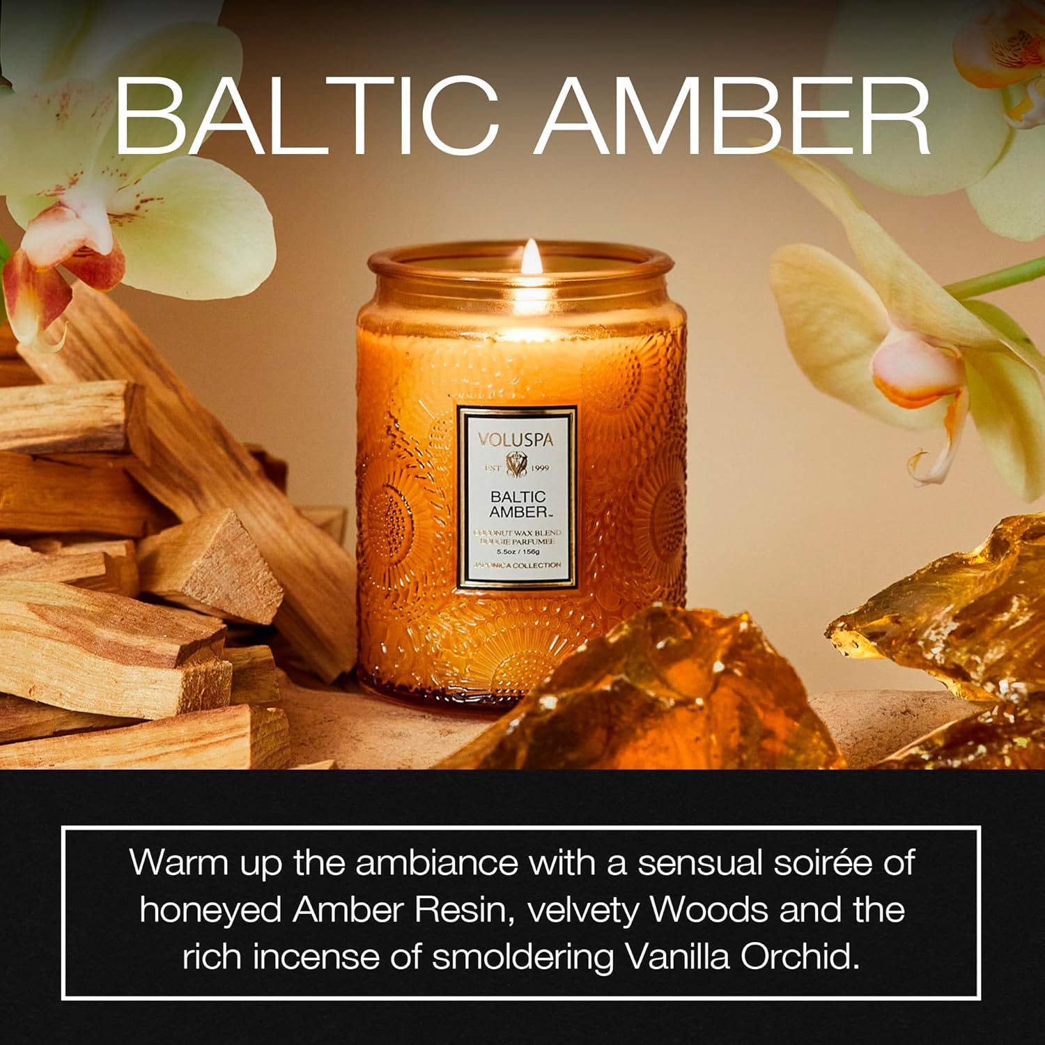 Voluspa Baltic Amber, Small Candle Jar, 5.5 oz, 50 Hour Burn Time, Coconut Wax for Clean Burning, Handcrafted in the USA