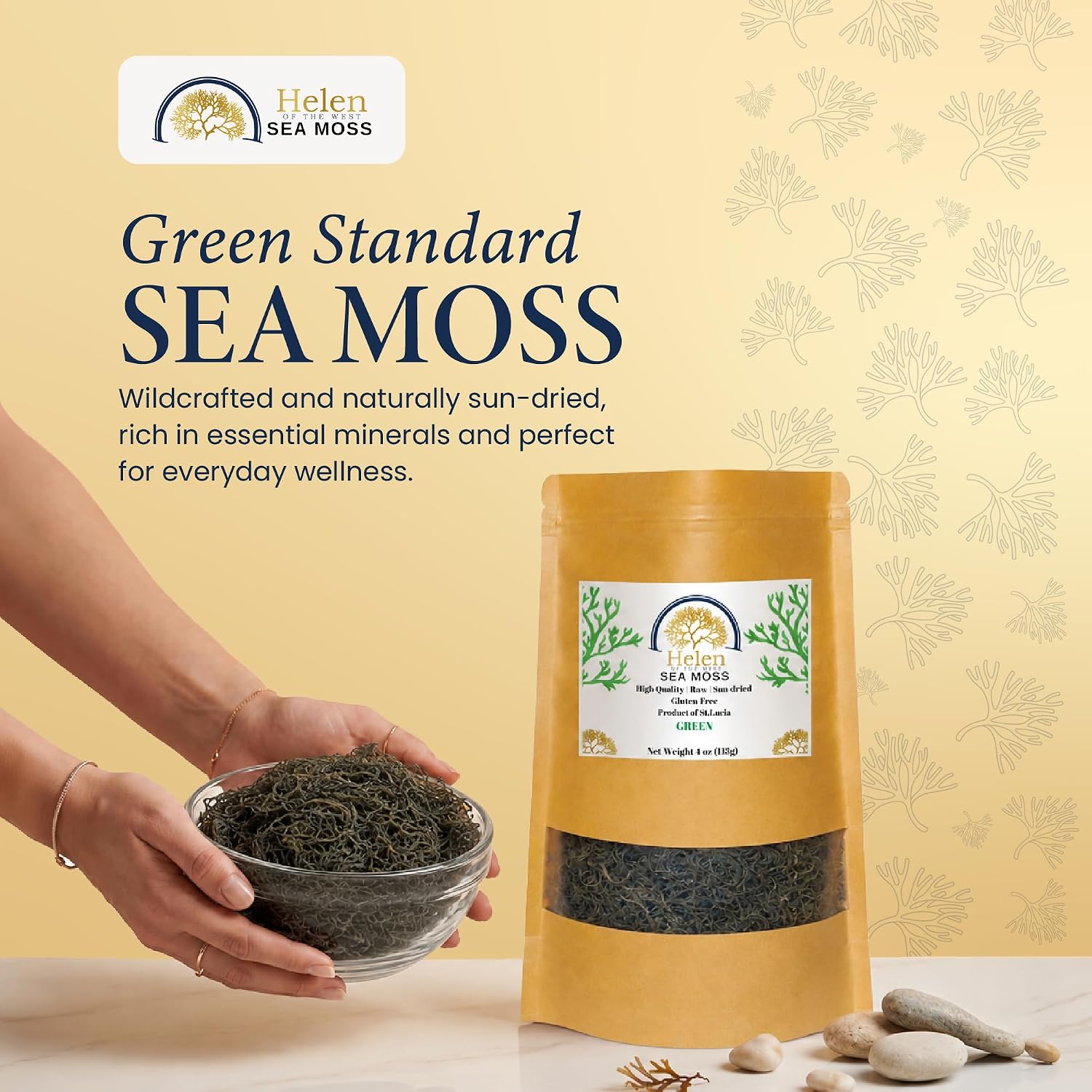 Wildcrafted Sea Moss | Gold - Purple - Green - Mixed | 100% Natural Irish Moss from St.Lucia | Mineral-Rich Superfood | 8oz Sun-Dried Moss | NO