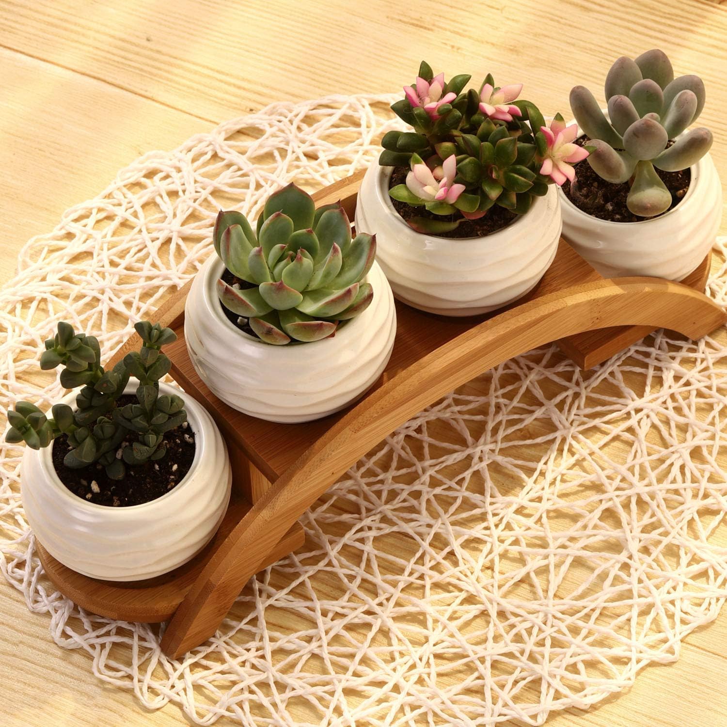 E-liu Eliu Cute Small Ceramic Succulent Pots and Stand Set, Pack of 4 | White Succulent Planter Pot with Drainage Fits Well In Windowsills