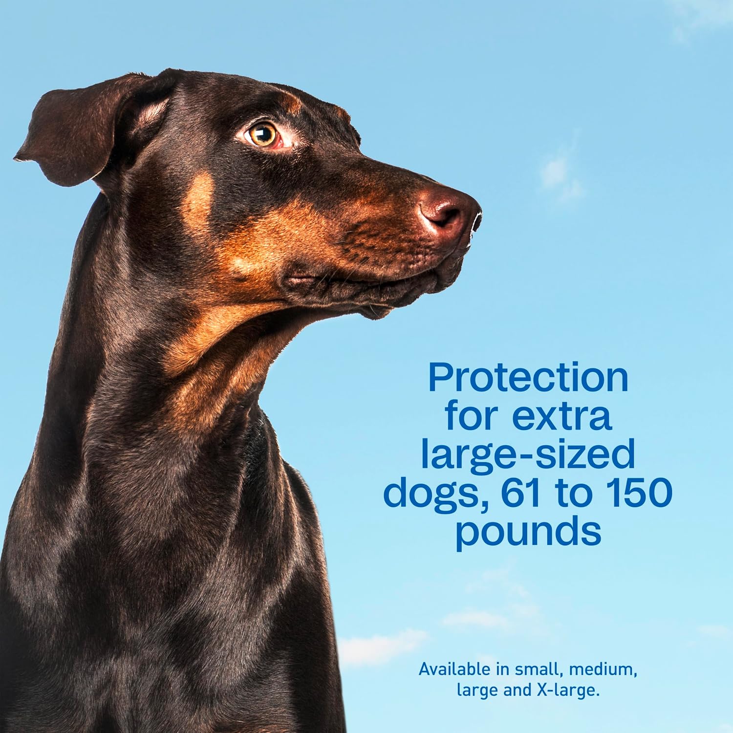 ADAMS Plus Flea & Tick Prevention Spot On for Extra Large Dogs, 3 Pack