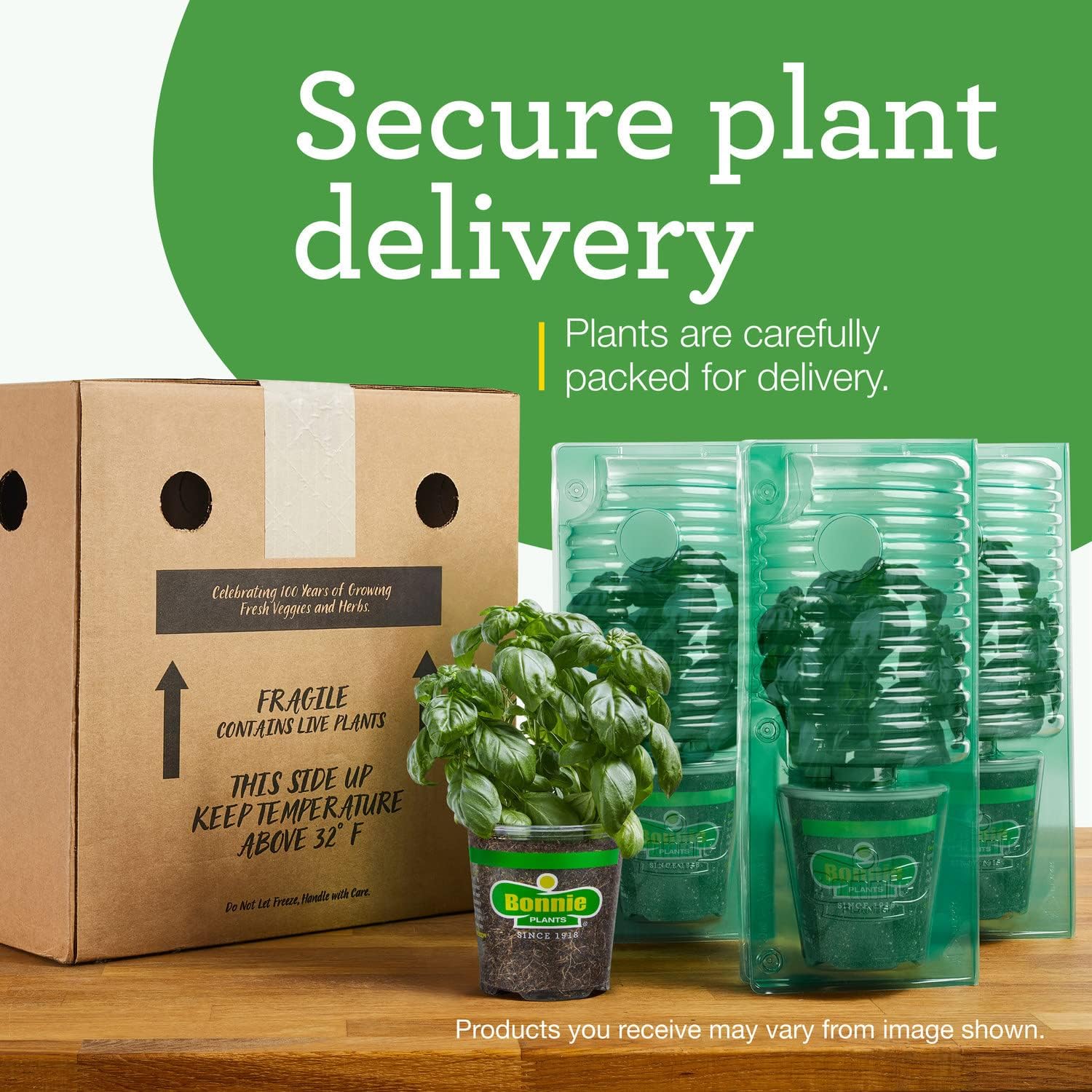 Bonnie Plants Sweet Banana Pepper - 4 Pack Live Plants, 6 Inch Fruit Size, Great For Frying & Pickling